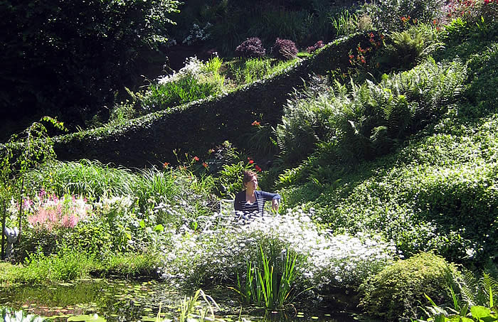 Teresa Gard sitting center of her garden Paradice
